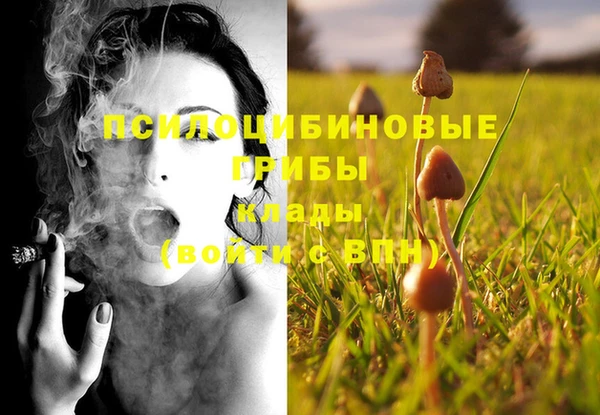 марки nbome Алексин