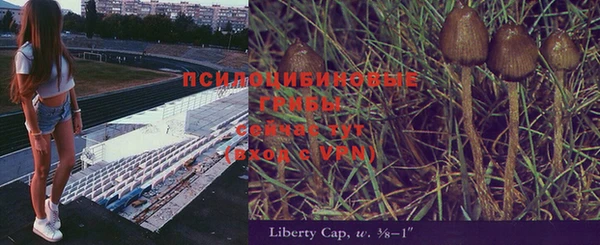 кокс Алзамай
