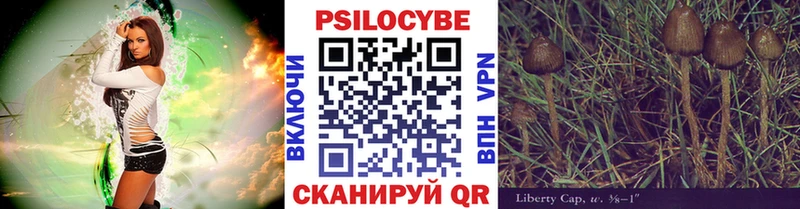 Галлюциногенные грибы Magic Shrooms  как найти   Тында 