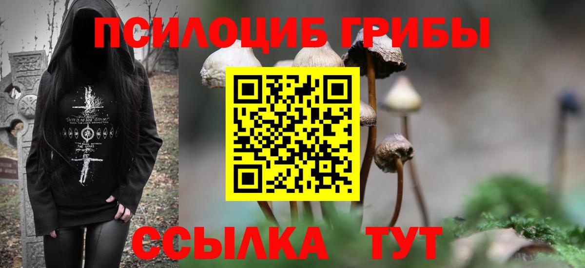 Тында  Галлюциногенные грибы GOLDEN TEACHER  Вход с VPN 